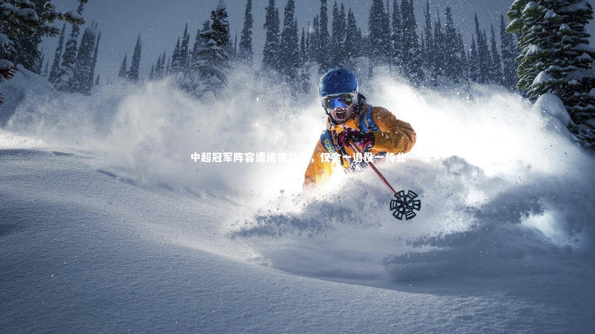 中超冠军阵容遭诸强瓜分，仅余一退役一待业